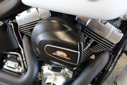 2017 Harley-davidson FLSTFB FAT BOY LO