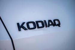 2024 SKODA Kodiaq RS