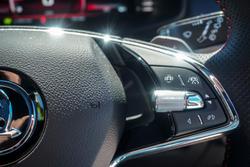 2024 SKODA Kodiaq RS