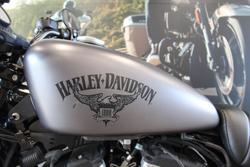 2017 Harley-davidson XL883 IRON 883 GREY