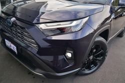 2024 Toyota RAV4 Cruiser