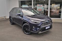 2024 Toyota RAV4 Cruiser