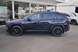 2024 Toyota RAV4 Cruiser