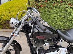 2007 HARLEY-DAVIDSON FXSTC SOFTAIL CUSTOM