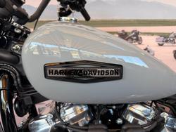 2025 Harley-davidson FXBB STREET BOB (117) BILLIARD GREY