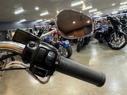 1996 Harley-davidson FLSTN HERITAGE S/TAIL SPECIAL Green