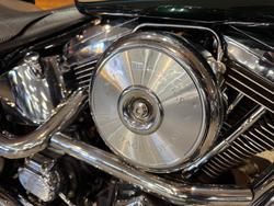 1996 Harley-davidson FLSTN HERITAGE S/TAIL SPECIAL Green