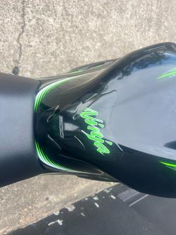 2017 Kawasaki NINJA 300 SE KRT REPLICA GREEN
