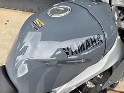 2024 Yamaha XSR900GP (MTM890ASP)