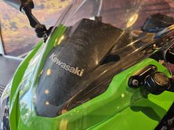 2017 Kawasaki Ninja 300 ABS (EX300B) Ninja Green