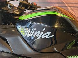 2017 Kawasaki Ninja 300 ABS (EX300B) Ninja Green