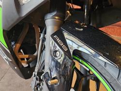 2017 Kawasaki Ninja 300 ABS (EX300B) Ninja Green