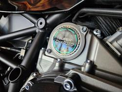 2020 Kawasaki Ninja H2 SX SE (ZX10002B) Ninja H2 Grey