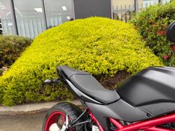 2022 Suzuki SV650 Black