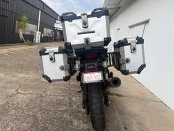 2021 Harley-Davidson RA1250S PAN AMERICA SPECIAL GREEN