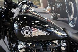 2025 Harley-davidson FLFB FAT BOY (117) VIVID BLACK