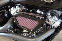 2025 Harley-davidson FLFB FAT BOY (117) VIVID BLACK