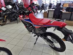 2024 Honda CRF300 Rally CRF Red