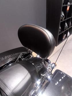 2018 Harley-Davidson Street Glide 107 (FLHX) Touring Grey