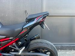 2025 Kawasaki 2025 Kawasaki 900CC Z900 RED