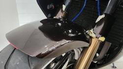 1995 Honda CBR900RR Fireblade (893cc) Fireblade Maroon