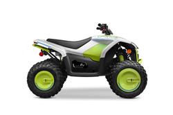 CFMOTO Cforce 110 EV
