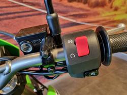 2025 Kawasaki KLX300 KLX Green