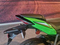 2025 Kawasaki Ninja ZX-10R ABS Ninja Green