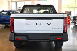 2025 LDV Terron 9 Evolve