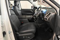 2025 LDV Terron 9 Evolve