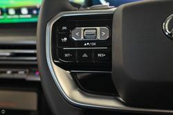 2025 LDV Terron 9 Evolve