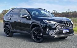 2025 Toyota RAV4 Cruiser
