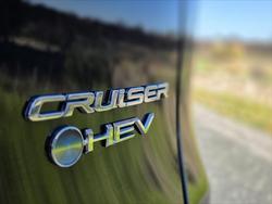 2025 Toyota RAV4 Cruiser