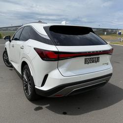 2023 Lexus
RX 350h Sports Luxury