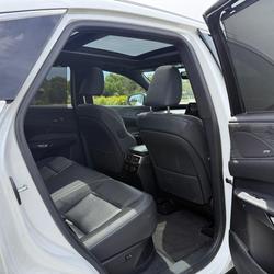 2023 Lexus RX 350h Sports Luxury