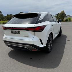 2023 Lexus RX 350h Sports Luxury