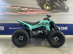 YAMAHA RAPTOR 50 (YFM50R)