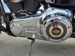 2013 Harley-Davidson Dyna Super Glide Custom 1584 (FXDC) Dyna