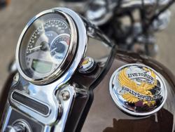 2013 Harley-Davidson Dyna Super Glide Custom 1584 (FXDC) Dyna