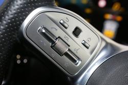 2021 Mercedes-Benz A-Class A250