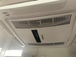 2024 Windsor Daintree