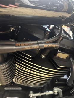 2023 Harley-Davidson Street Bob 114 (FXBBS) Softail Black