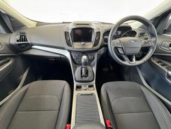 2018 Ford
                Escape Trend