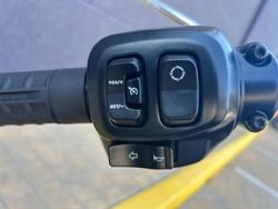 2025 Harley-Davidson Fat Boy 117 (FLFB) Softail Black
