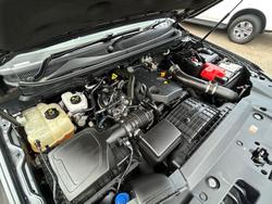 2022 Ford
                Everest Trend