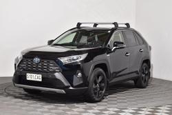 2019 Toyota RAV4 Cruiser