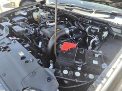 2022 Ford
                Everest Ambiente