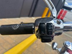 2008 Harley-Davidson Softail Custom 1584 (FXSTC) Softail Red