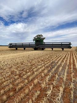 2019 John Deere S790 Green