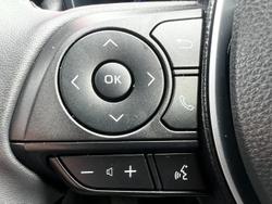 2022 Toyota RAV4 Cruiser